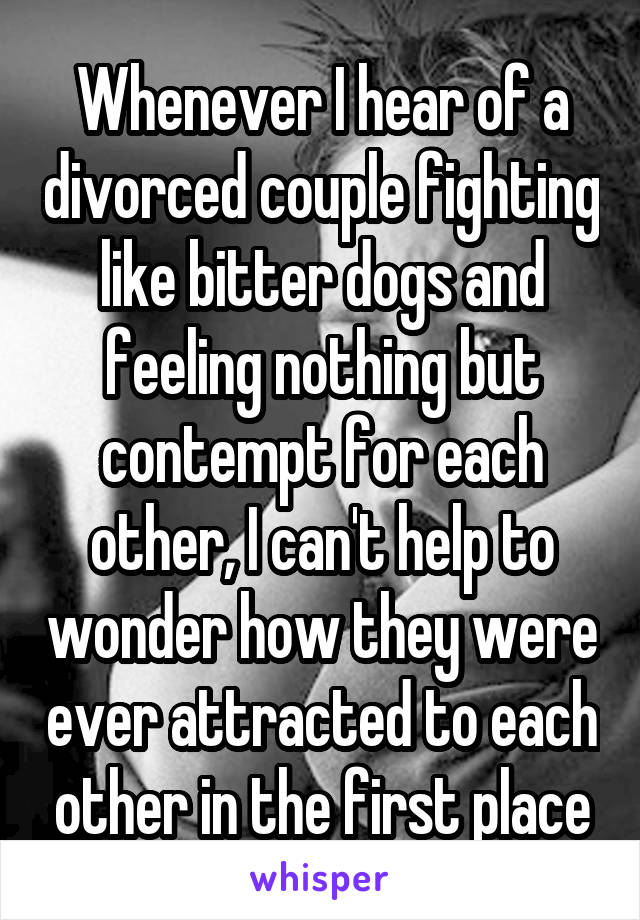 Whenever I hear of a divorced couple fighting like bitter dogs and feeling nothing but contempt for each other, I can't help to wonder how they were ever attracted to each other in the first place