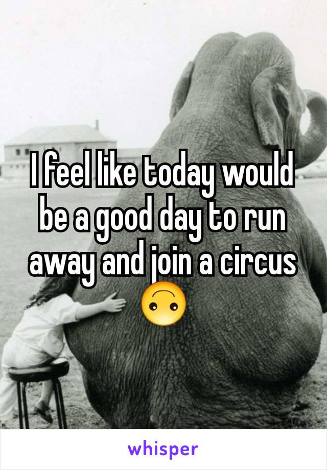 I feel like today would be a good day to run away and join a circus 🙃