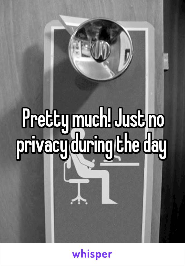 Pretty much! Just no privacy during the day 