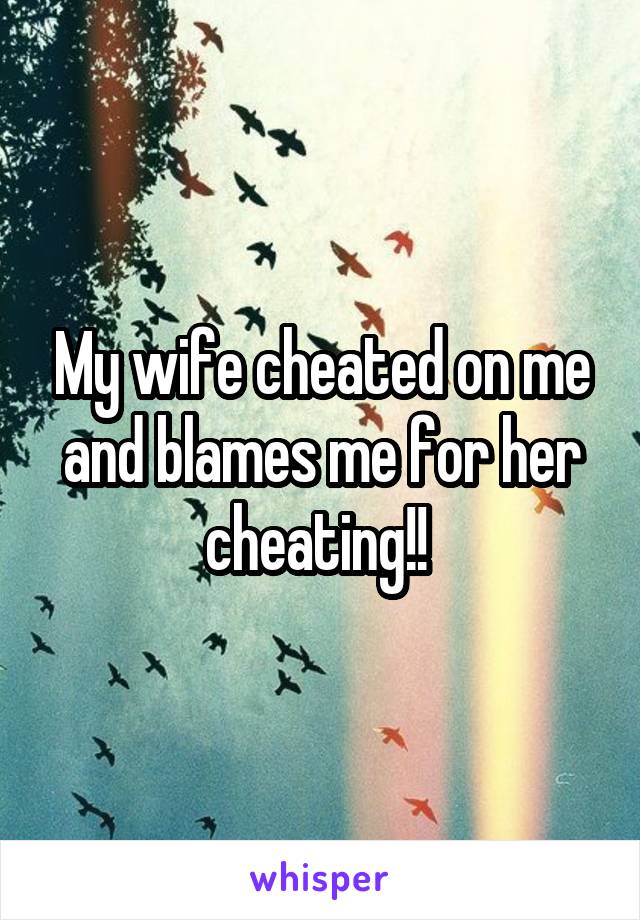 My wife cheated on me and blames me for her cheating!! 