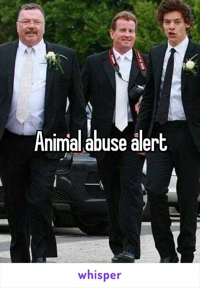 Animal abuse alert