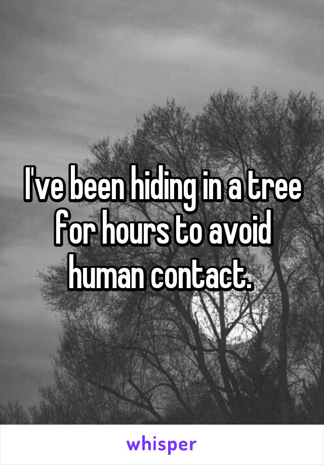 I've been hiding in a tree for hours to avoid human contact. 