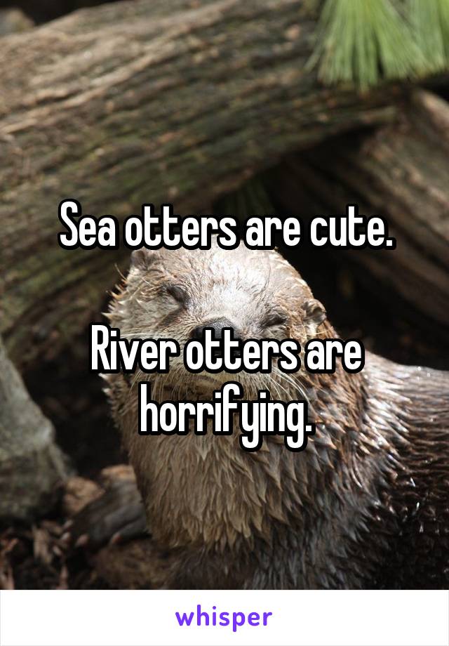 Sea otters are cute.

River otters are horrifying.