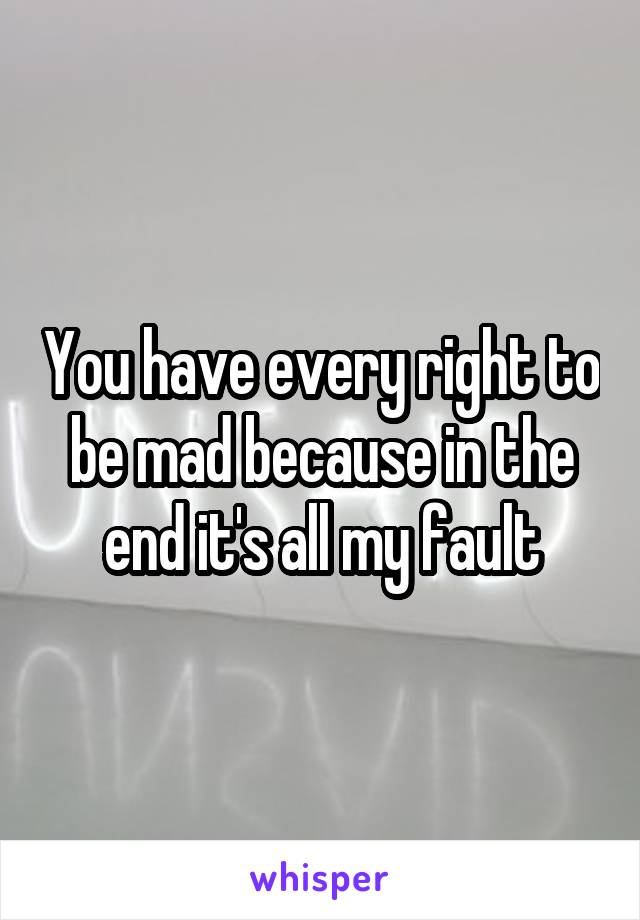 You have every right to be mad because in the end it's all my fault