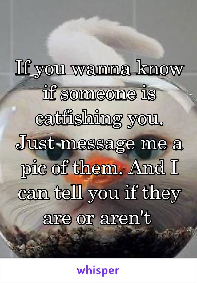 If you wanna know if someone is catfishing you. Just message me a pic of them. And I can tell you if they are or aren't 