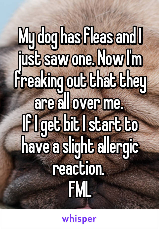 My dog has fleas and I just saw one. Now I'm freaking out that they are all over me. 
If I get bit I start to have a slight allergic reaction. 
FML