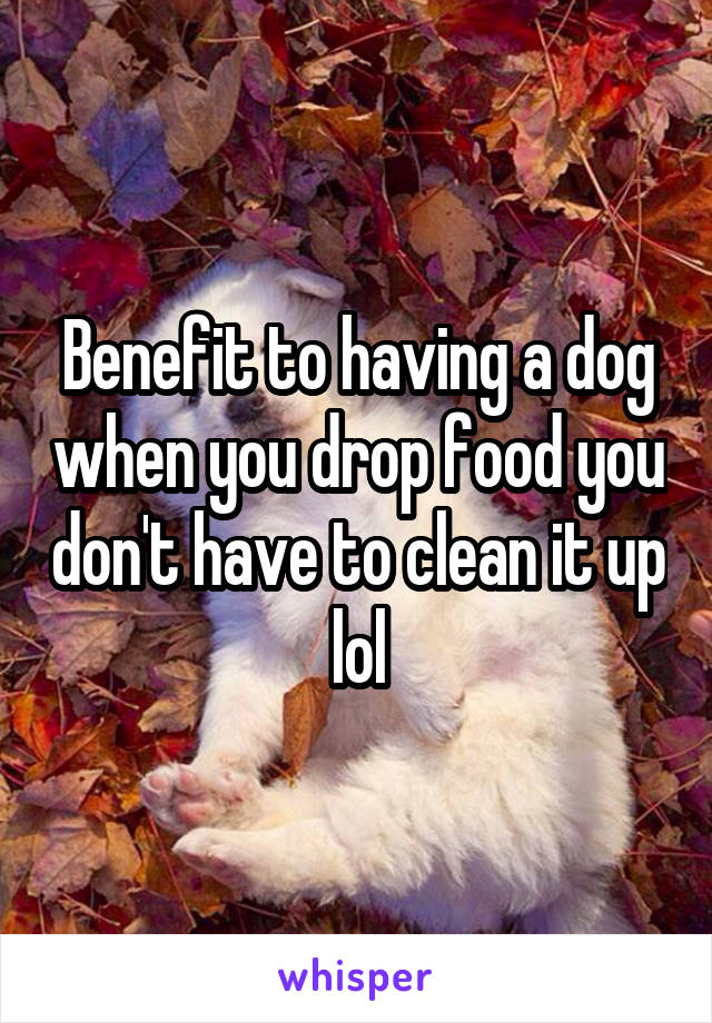 Benefit to having a dog when you drop food you don't have to clean it up lol