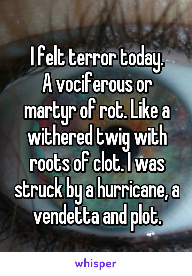 I felt terror today.
A vociferous or martyr of rot. Like a withered twig with roots of clot. I was struck by a hurricane, a vendetta and plot.