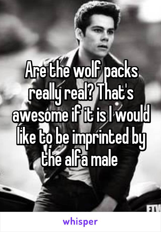 Are the wolf packs really real? That's awesome if it is I would like to be imprinted by the alfa male 