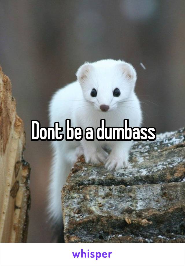 Dont be a dumbass