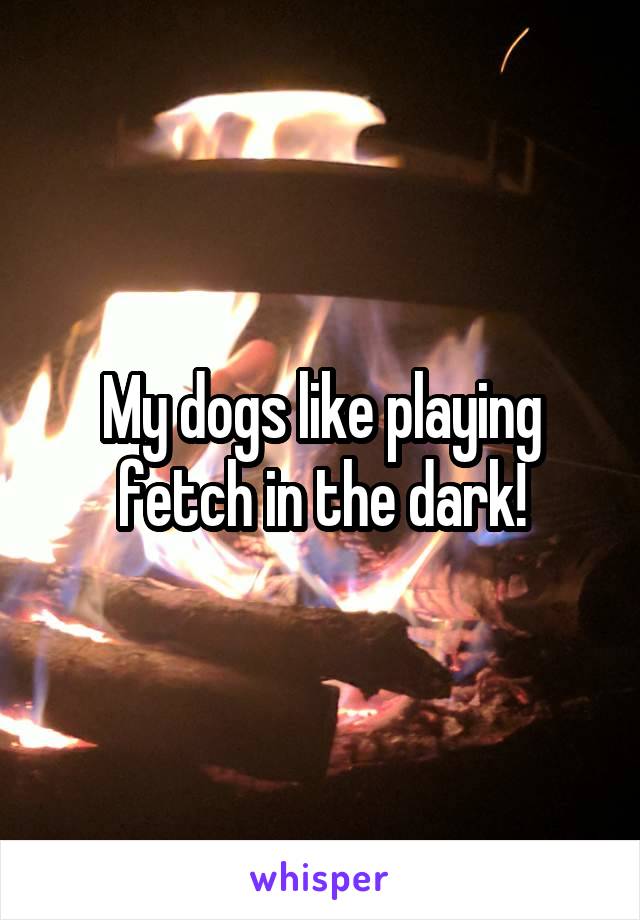 My dogs like playing fetch in the dark!