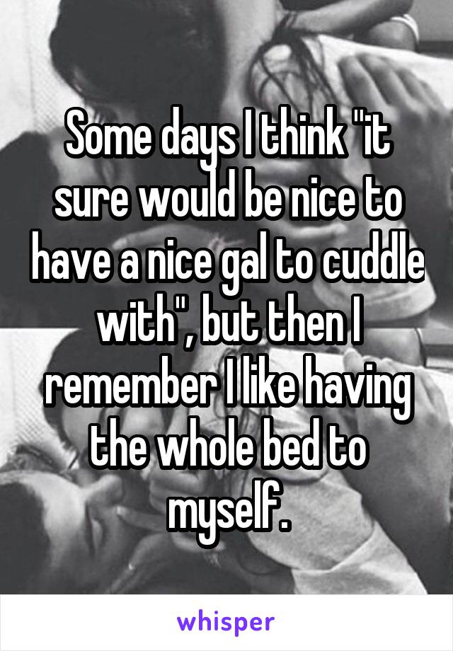 Some days I think "it sure would be nice to have a nice gal to cuddle with", but then I remember I like having the whole bed to myself.