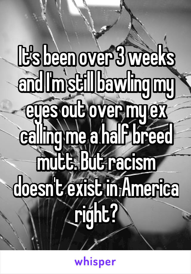 It's been over 3 weeks and I'm still bawling my eyes out over my ex calling me a half breed mutt. But racism doesn't exist in America right?