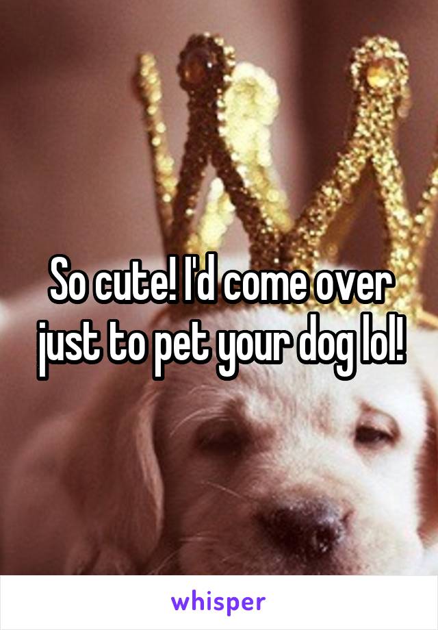 So cute! I'd come over just to pet your dog lol!