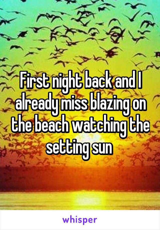 First night back and I already miss blazing on the beach watching the setting sun 