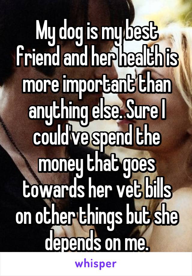 My dog is my best friend and her health is more important than anything else. Sure I could've spend the money that goes towards her vet bills on other things but she depends on me.