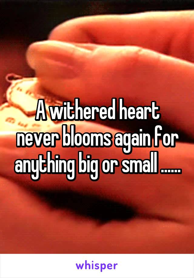 A withered heart never blooms again for anything big or small ......