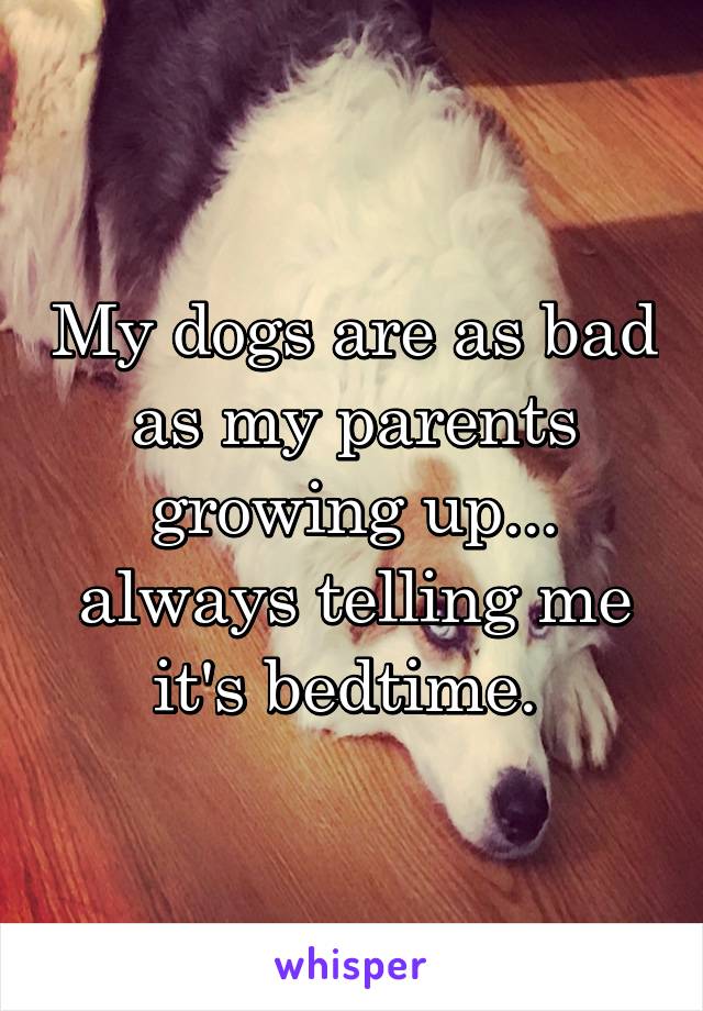 My dogs are as bad as my parents growing up... always telling me it's bedtime. 