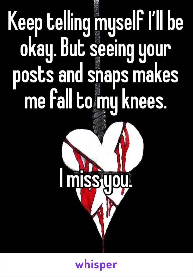 Keep telling myself I’ll be okay. But seeing your posts and snaps makes me fall to my knees. 


I miss you. 