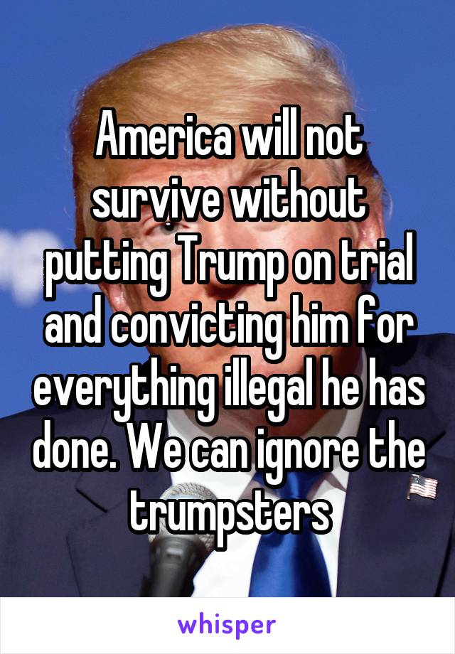 America will not survive without putting Trump on trial and convicting him for everything illegal he has done. We can ignore the trumpsters