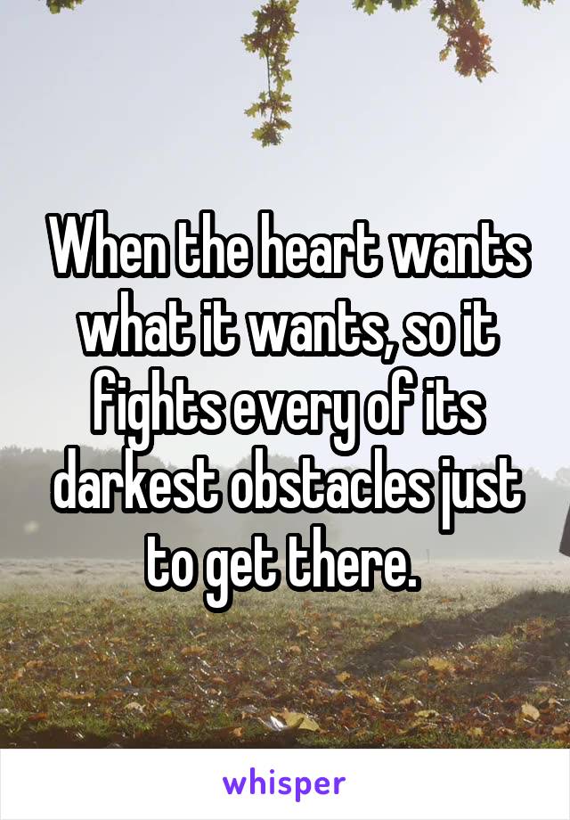 When the heart wants what it wants, so it fights every of its darkest obstacles just to get there. 