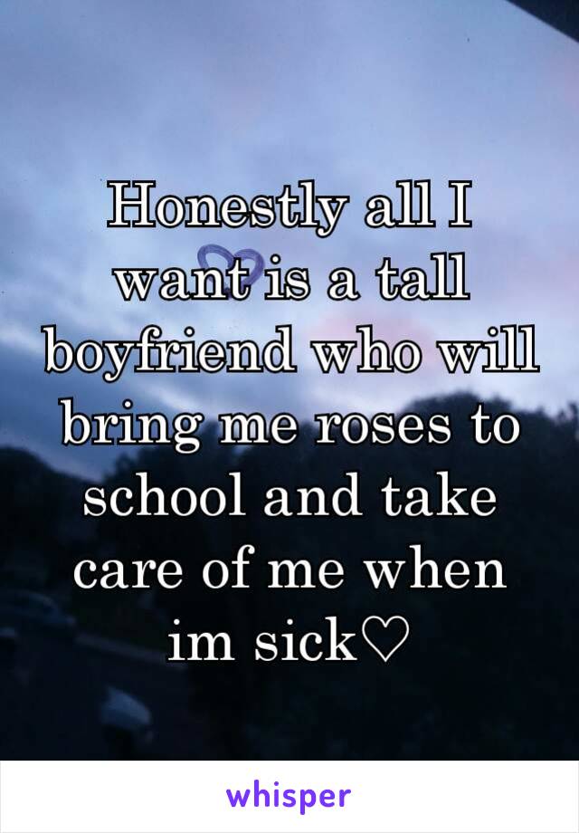 Honestly all I want is a tall boyfriend who will bring me roses to school and take care of me when im sick♡