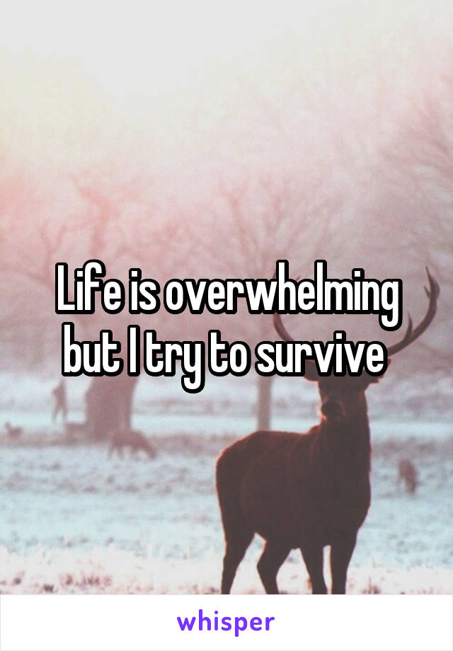 Life is overwhelming but I try to survive 