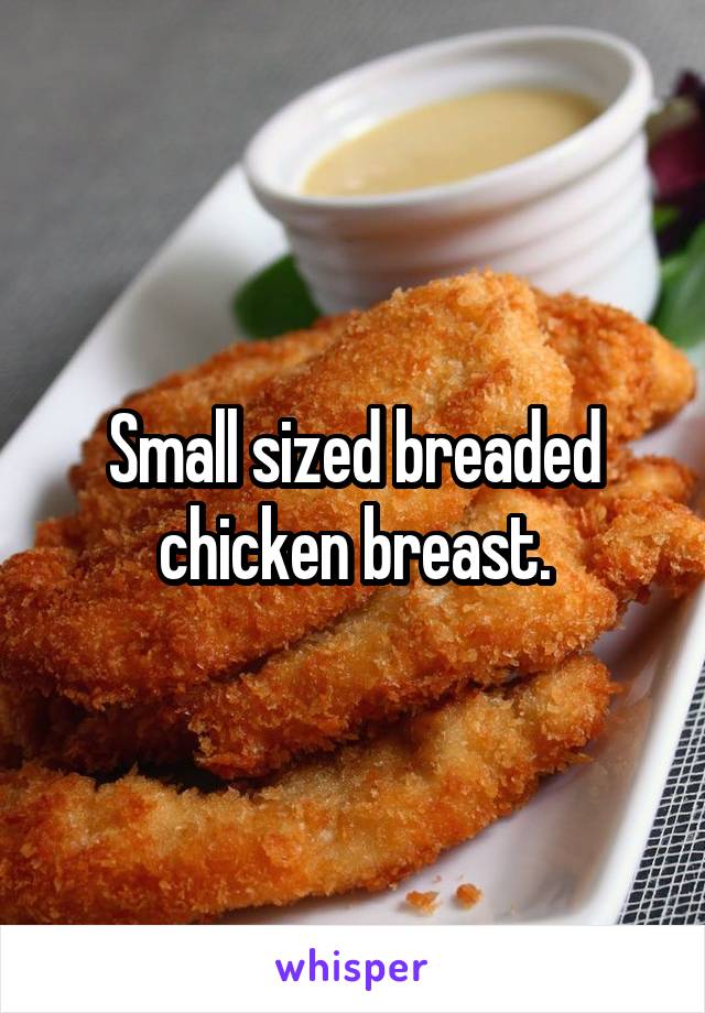 Small sized breaded chicken breast.