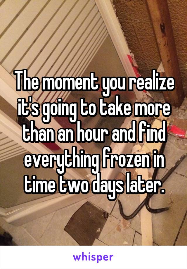 The moment you realize it's going to take more than an hour and find everything frozen in time two days later.