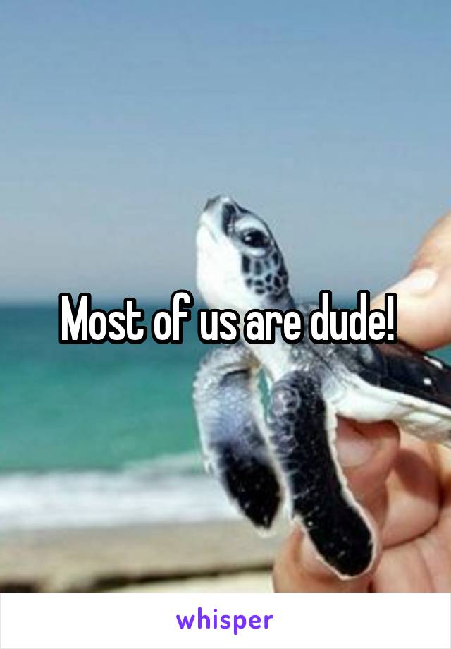 Most of us are dude!