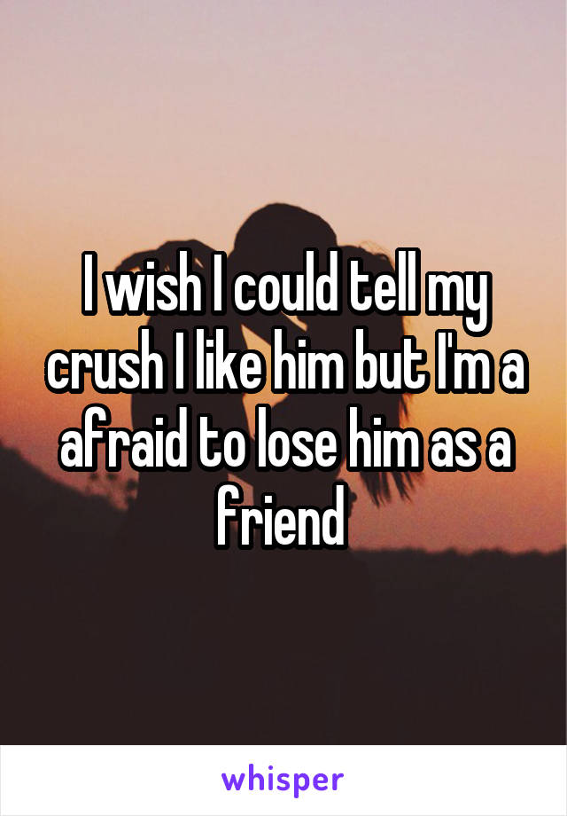 I wish I could tell my crush I like him but I'm a afraid to lose him as a friend 