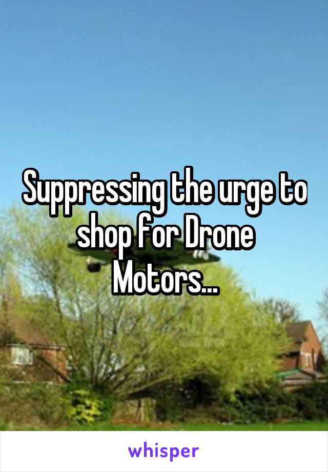 Suppressing the urge to shop for Drone Motors...