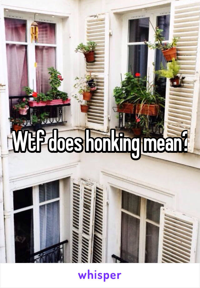 Wtf does honking mean?