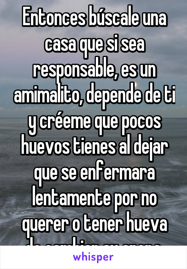 Entonces búscale una casa que si sea responsable, es un amimalito, depende de ti y créeme que pocos huevos tienes al dejar que se enfermara lentamente por no querer o tener hueva de cambiar su arena.