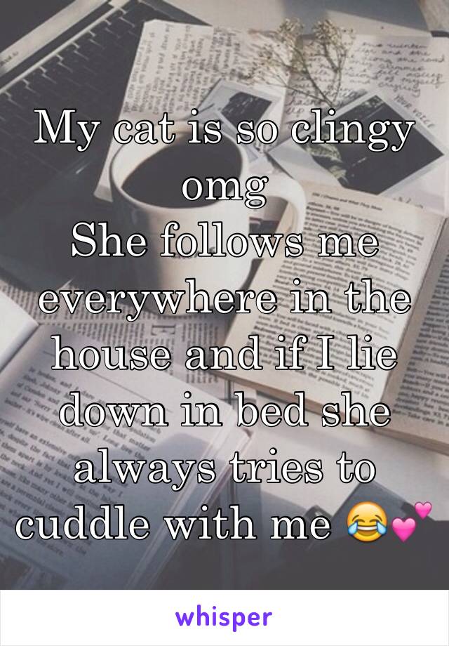 My cat is so clingy omg
She follows me everywhere in the house and if I lie down in bed she always tries to cuddle with me 😂💕