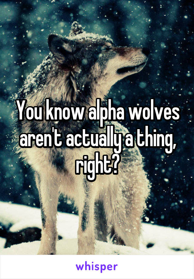 You know alpha wolves aren't actually a thing, right?