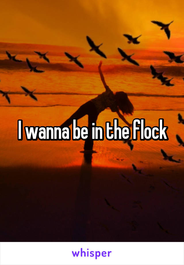 I wanna be in the flock