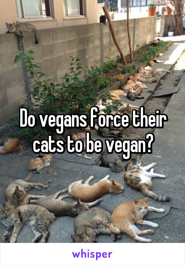 Do vegans force their cats to be vegan?