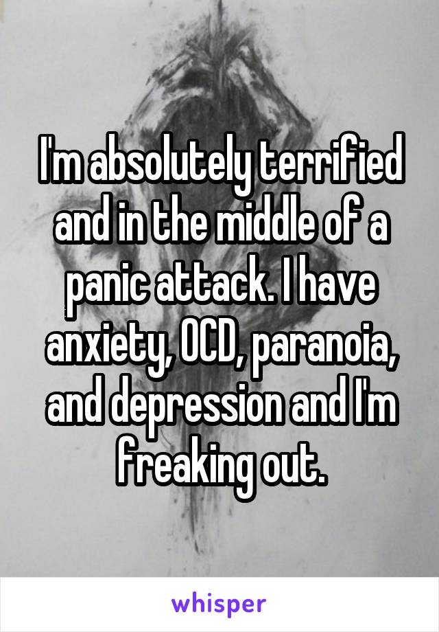 I'm absolutely terrified and in the middle of a panic attack. I have anxiety, OCD, paranoia, and depression and I'm freaking out.