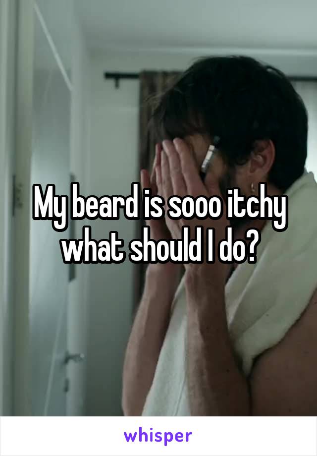 My beard is sooo itchy what should I do?