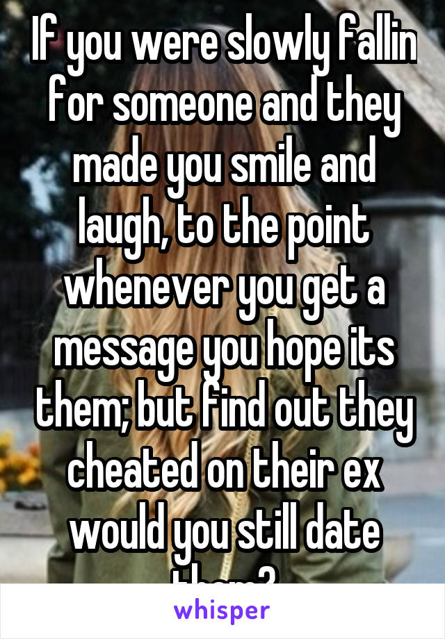 If you were slowly fallin for someone and they made you smile and laugh, to the point whenever you get a message you hope its them; but find out they cheated on their ex would you still date them?