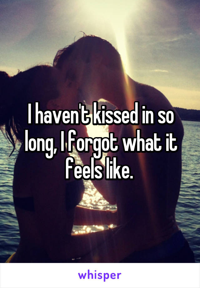 I haven't kissed in so long, I forgot what it feels like. 