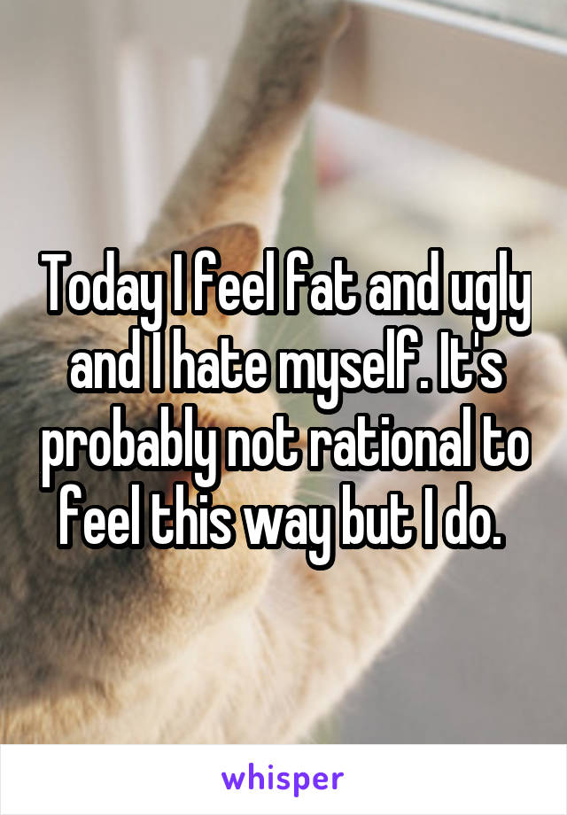 Today I feel fat and ugly and I hate myself. It's probably not rational to feel this way but I do. 