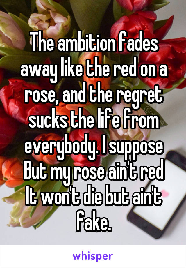 The ambition fades away like the red on a rose, and the regret sucks the life from everybody. I suppose
But my rose ain't red
It won't die but ain't fake.