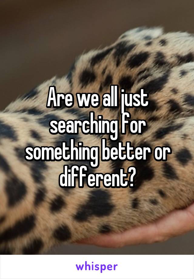 Are we all just searching for something better or different?