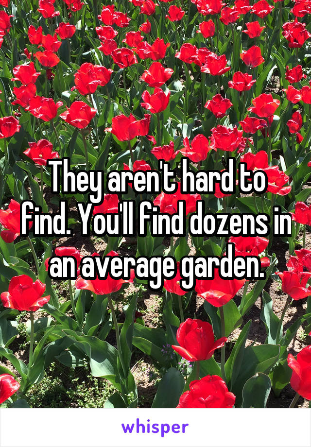 They aren't hard to find. You'll find dozens in an average garden.