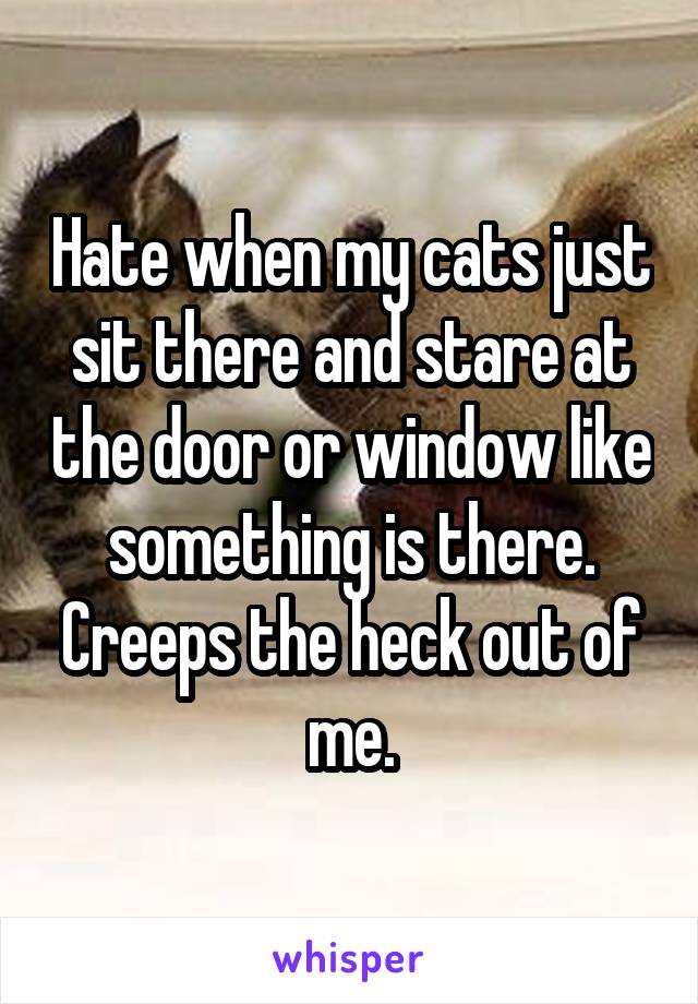 Hate when my cats just sit there and stare at the door or window like something is there. Creeps the heck out of me.