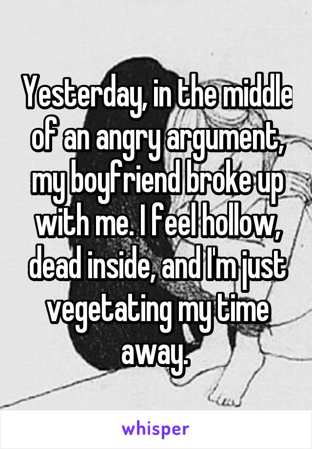 Yesterday, in the middle of an angry argument, my boyfriend broke up with me. I feel hollow, dead inside, and I'm just vegetating my time away. 