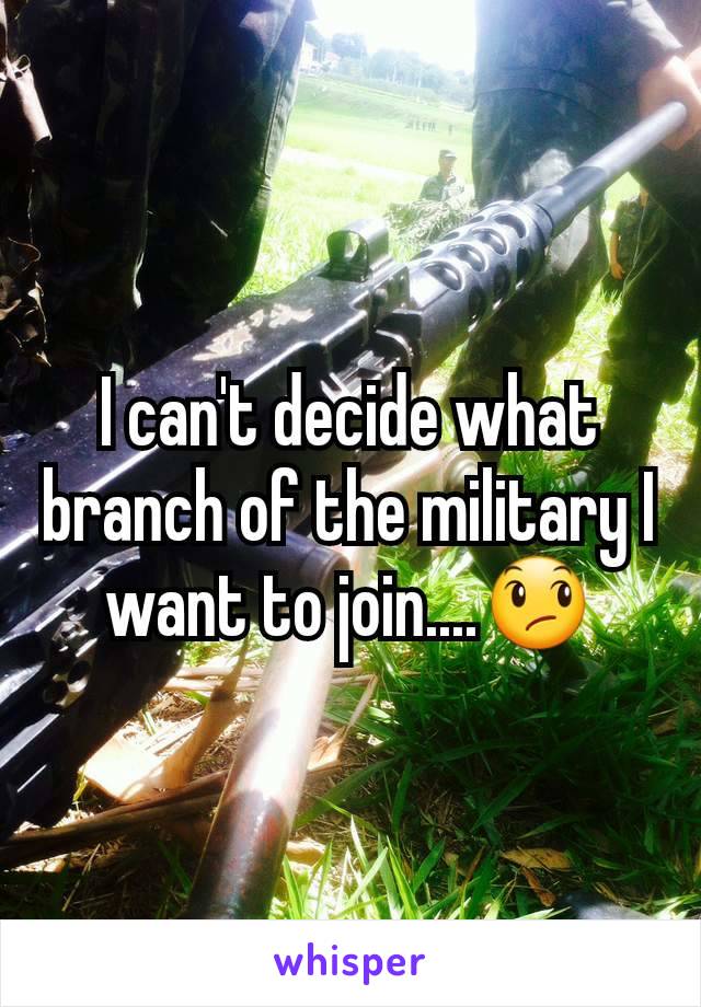 I can't decide what branch of the military I want to join....😞