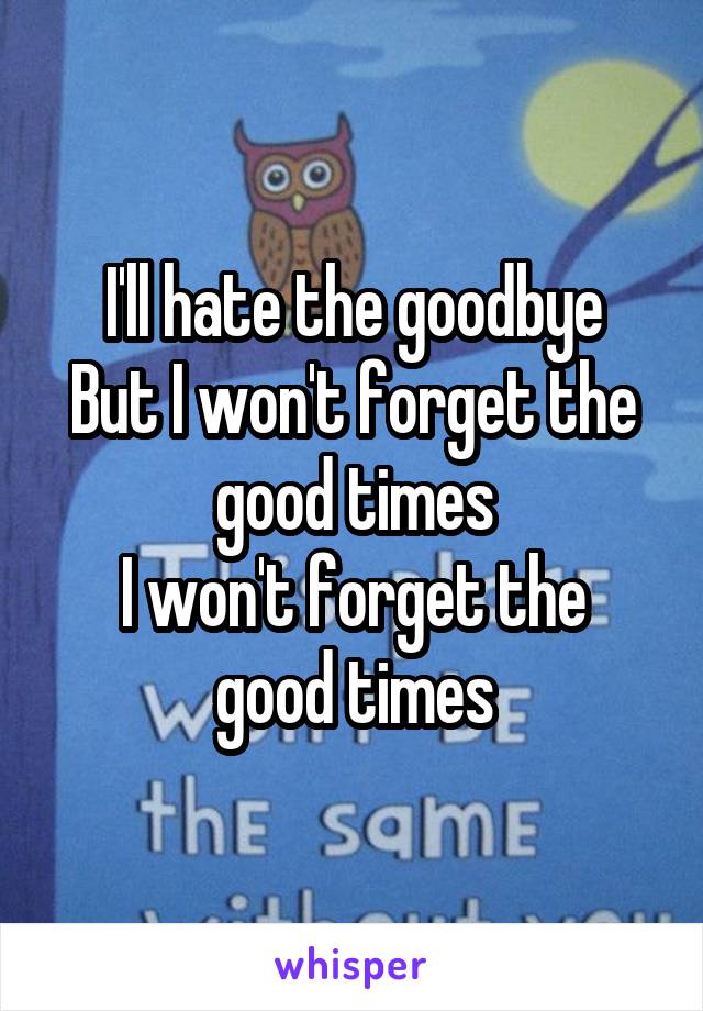 I'll hate the goodbye
But I won't forget the good times
I won't forget the good times